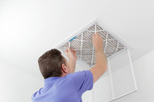 Best Ductwork Cleaning Services  in West Deland, FL